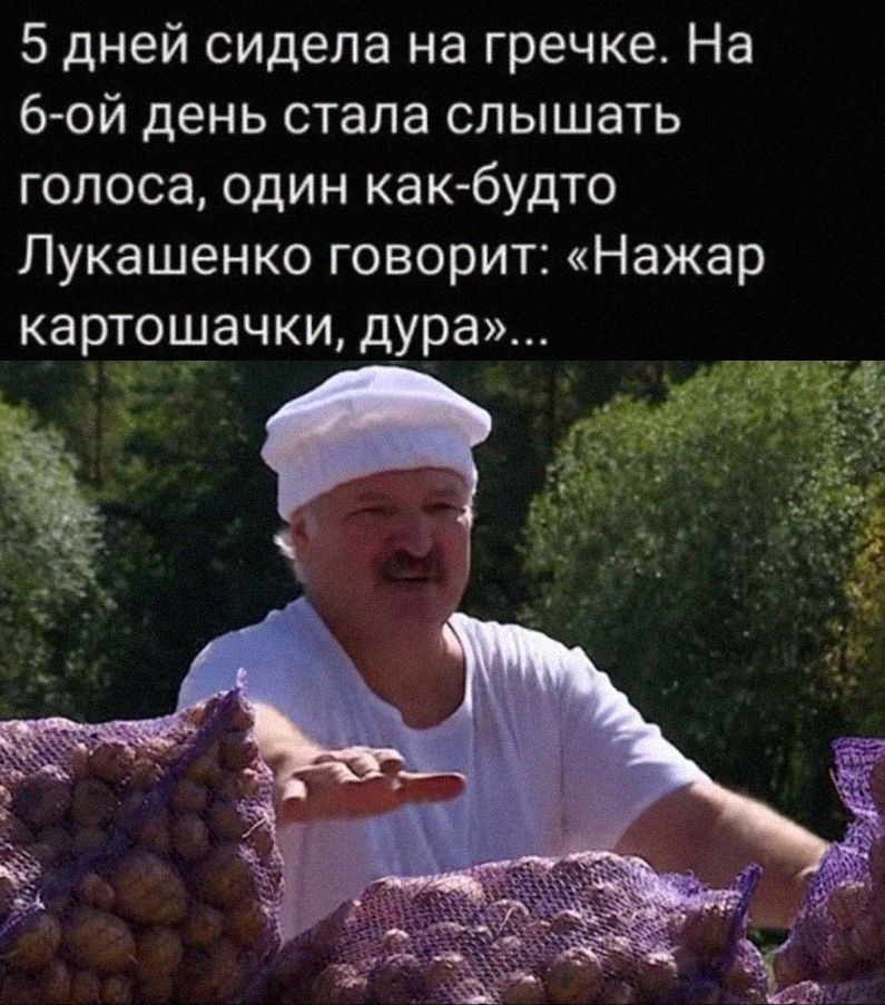 5 дней сидела на гречке На 6ой день стала слышать голоса один как будто Лукашенко говорит Нажар картошачки дура