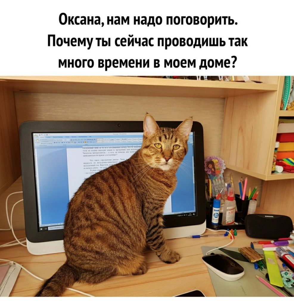 Оксана нам надо поговорить Почему ты сейчас проводишь так много времени в  моем доме - выпуск №481933