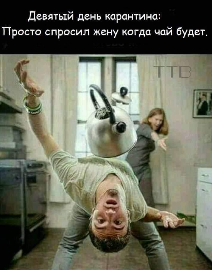 Девятый день карантина Просто спросил жену когда чай будет