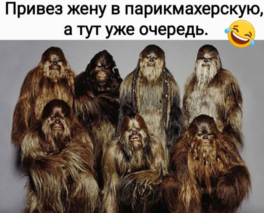 Привез жену в парикмахерскую а тут уже очередь