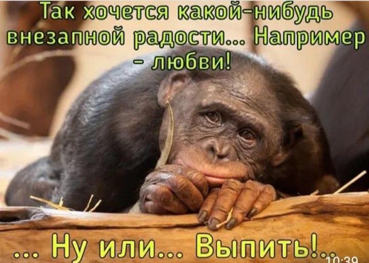 Так чтссга кашкай шбудць