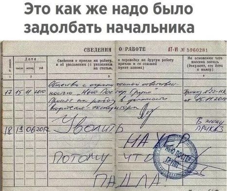Это как же надо было задолбать начальника сникпик 0 тт пи мы