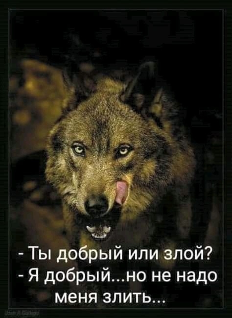 ий Ты до ыи илифлои Я добрыйно не надо меня злить