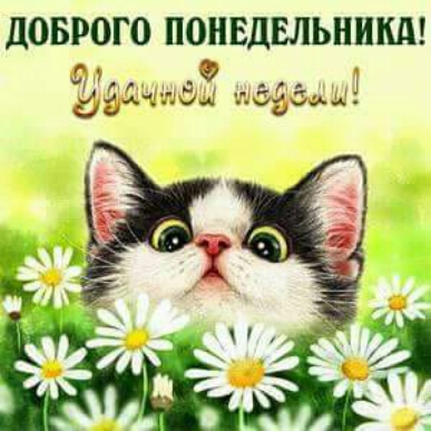 ЦОБРОГО ПОНЕДЕЛЬНИКА г 1 даними хмчим и