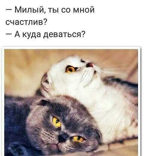 Милый ты со мной счастлив А куда деваться
