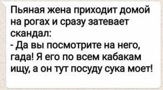 Пьяная жена приходит домой на рогах и сразу затевает скандал Да вы посмотрите на него гада Я его по всем кабакам ищу а он тут посуду сука моет