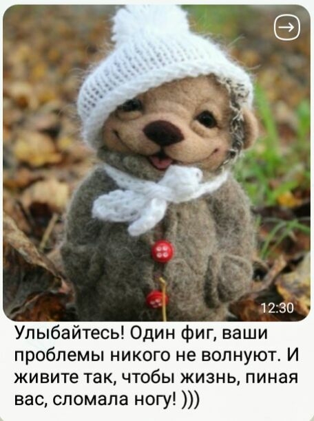 Улыбайтесь Один фиг ваши проблемы никого не волнуют И живите такчтобы жизнь пиная вас сломала ногу