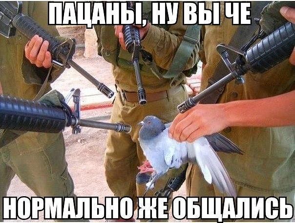 91 ппцдны Ш ВЬЁ ЧЕ 1 мы ЁЁ и гиг У м М Йимдпьнодыоіщд