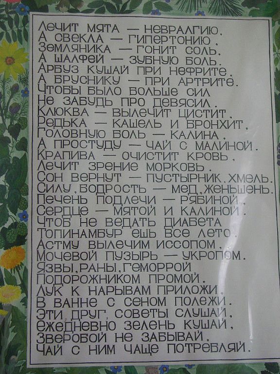 А5 ГОАОВНЫЮ БОАЬ КААИНА 03247 ЖА ечит МБГГА неврААгию А овеКАА гипертонию еМАЯНИ1А гонит СОАЬ ымчэеи зыьньло БОАЬ Арвуз КЦШАИ при нефрите А БРЫСНИКЫ _ при АРТРИГЭ ЧТОБЫ БЫАО БОАьые си Не ЗАБеДь про Девясим КВА вьиечит цистит 9ЦЬКА КАШЭАЬ И БРОНХИТ А ПРОСТЫДЫ ЧАИ мминои КРАПИВА очистит кровь Аечит зрение морковь Сон вернет пестьпзникх АЬ СИАЫБОДРОСТЬ _ мецжень энь Печень пошечи рявиноь _ Сердце мят