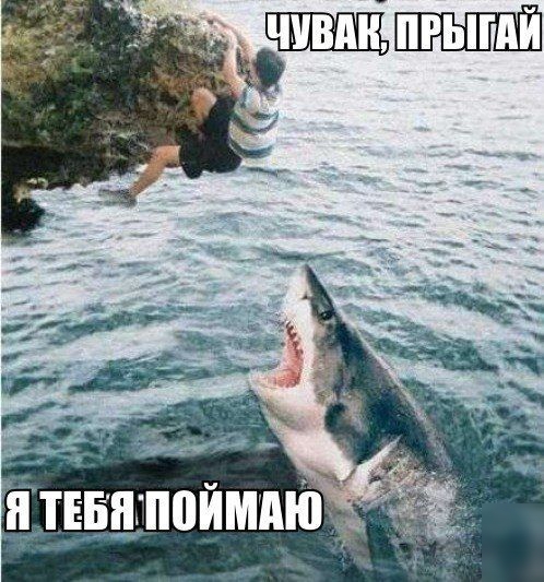 _ гг _ дтвіі_дпоимпюд_