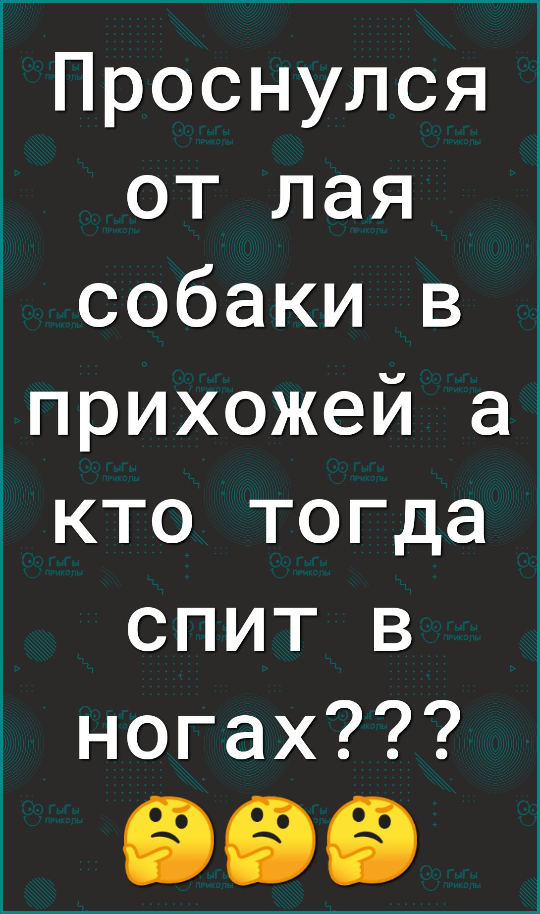 Проснулся от лая собаки в прихожей а і кто тогда спит в ногах