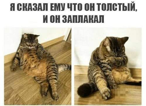 и СКАЗАЛ ЕМУ что 0 Т0П0ТЫЙ И 0 ЗАПЛАШШ