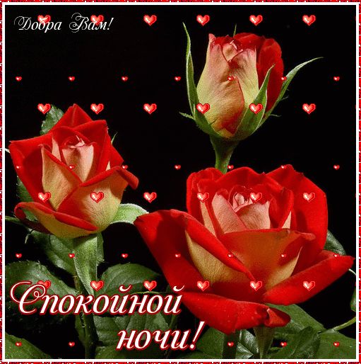 Ёои вид ндчи _