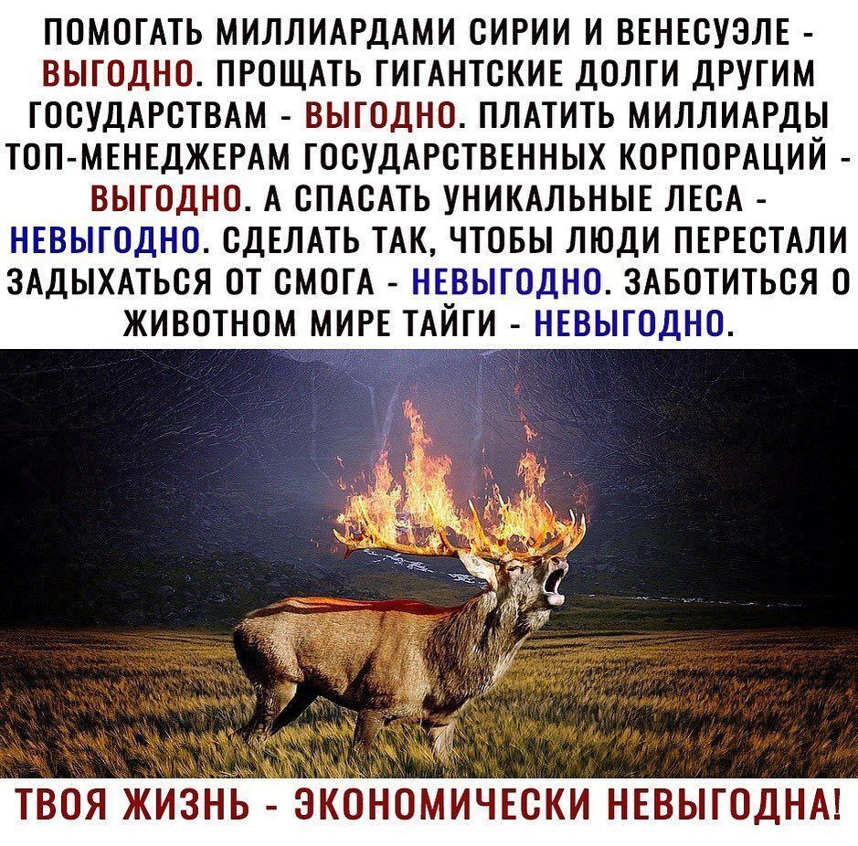 ПОМОГАТЬ МИЛЛИАРДАМИ СИРИИ И ВЕНЕСУЭЛЕ ВЫГОДНО ПРОЩАТЬ ГИТАНТСКИЕ ДОЛТИ ДРУГИМ ГОСУДАРСТВАМ ВЫГОДНО ПЛАТИТЬ МИЛЛИАРДЫ ТСП МЕНЕДЖЕРАМ ГОСУДАРСТВЕННЫХ КОРПОРАЦИИ ВЫГОДНО А СПАСАТЬ УНИКАЛЬНЫЕ ЛЕСА НЕВЫГОДНС СДЕЛАТЬ ТАК ЧТОБЫ ЛЮДИ ПЕРЕСТАЛИ ЗАДЫХАТЬСЯ ОТ СМСГА НЕВЫТСДНО ЗАБОТИТЬСЯ ЖИВОТНОМ МИРЕ ТАЙГ НЕВЫПДНО твоязжинь коонмичюки нввыгоднм