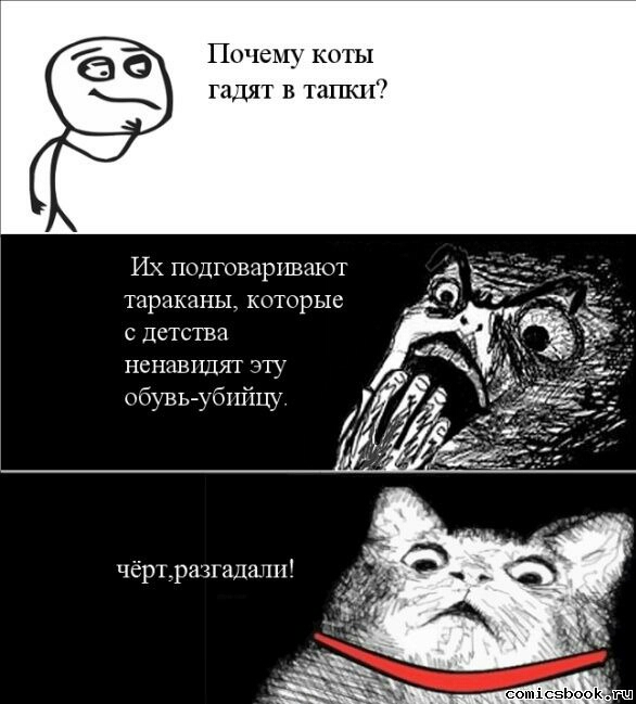 6 Почему коты гадят в тапки Ик подговаривают тараканы которые с детства ненашщят эту обувь бпйцу чёръризп адшш