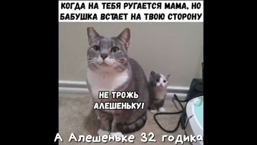 КОГАА НА ТЕБЯ РУГАЕТСЯ МАМА НО БАБУШКА ВСПЕТ НА ТВОЮ СТОРОНУ