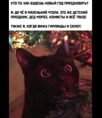 итп тп как іщшь пвый гпл пищать и ля чё за нлпгнькии чтили зп жвппсиии гаишник ш мппш капот и всЁ тики также и кпгш Вижн гирлянды и шлют