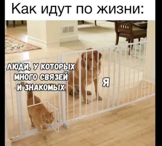 КЭК ИДУТ ПО ЖИЗНИ __Ё Щ