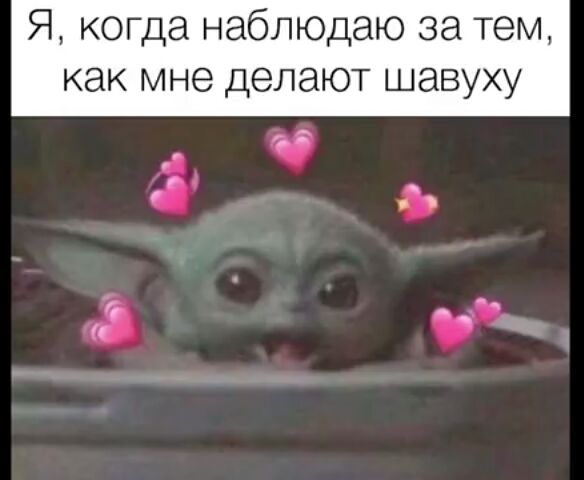 Я когда наблюдаю за тем как мне делают шавуху а д и