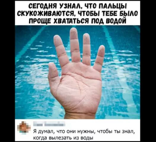 СЕГОАНЯ УЗНАА ЧТО ПААЬЦЫ СКУКОЖИВАЮТСЯ ЧТОБЫ ТЕБЕ БЫАО ПРОЩЕ ХВАТАТЬСЯ ПОД ВОАОИ кота вылезать из воды