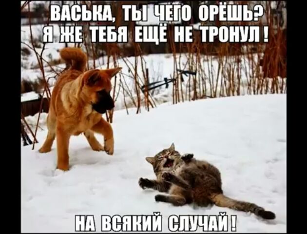 гите зщ тыьД Еоргішнэд и ёпжышпд ЕЩЕ НЕ пои ч