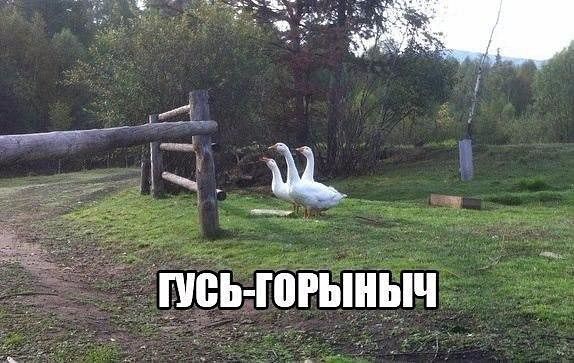 __ иньюгыііЫча