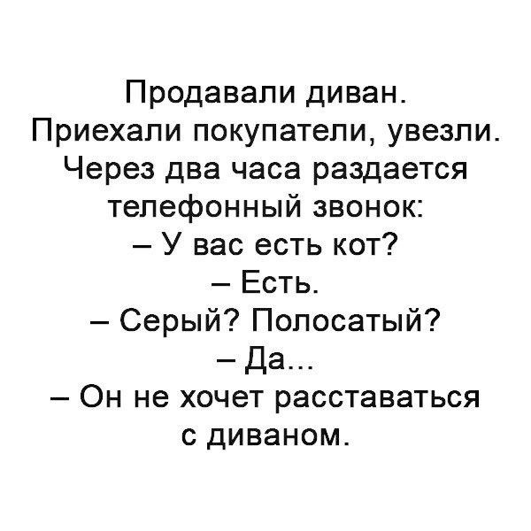 Продавапи диван Приехали покупатели увезли Через два часа раздается телефонный звонок У вас есть кот Есть Серый Попосатый Да Он не хочет расставаться с диваном