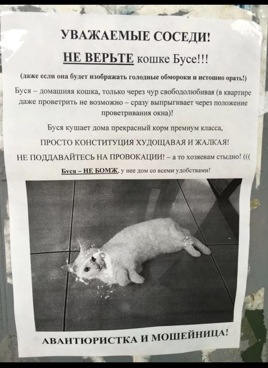 УВАЖАЕМЫЕ СОСЕДИ НЕ ВЕРЬТЕ кошке Бусе иже сын опа будт шобряжать голодные обмороки истошип орать Ьуся домашняя кошка только через чур свободолюбивая в квартире даже проветрить НС ВОЗМОЖНО сразу ВЫПРЫГИБЗЕТ через ПОЛОЖЕНИЕ проветривания окна Буся кушает дома прекрасный корм премиум класса ПРОСТО КОНСТИТУЦИЯ ХУДОЩАВАЯ И ЖАЛКАЯ НЕ НОДДАВАЙТЕСЬ НА ПРОВОКАЦИИ а то хозяевам стыдно Бдся НЕ БОМЖ нее до со