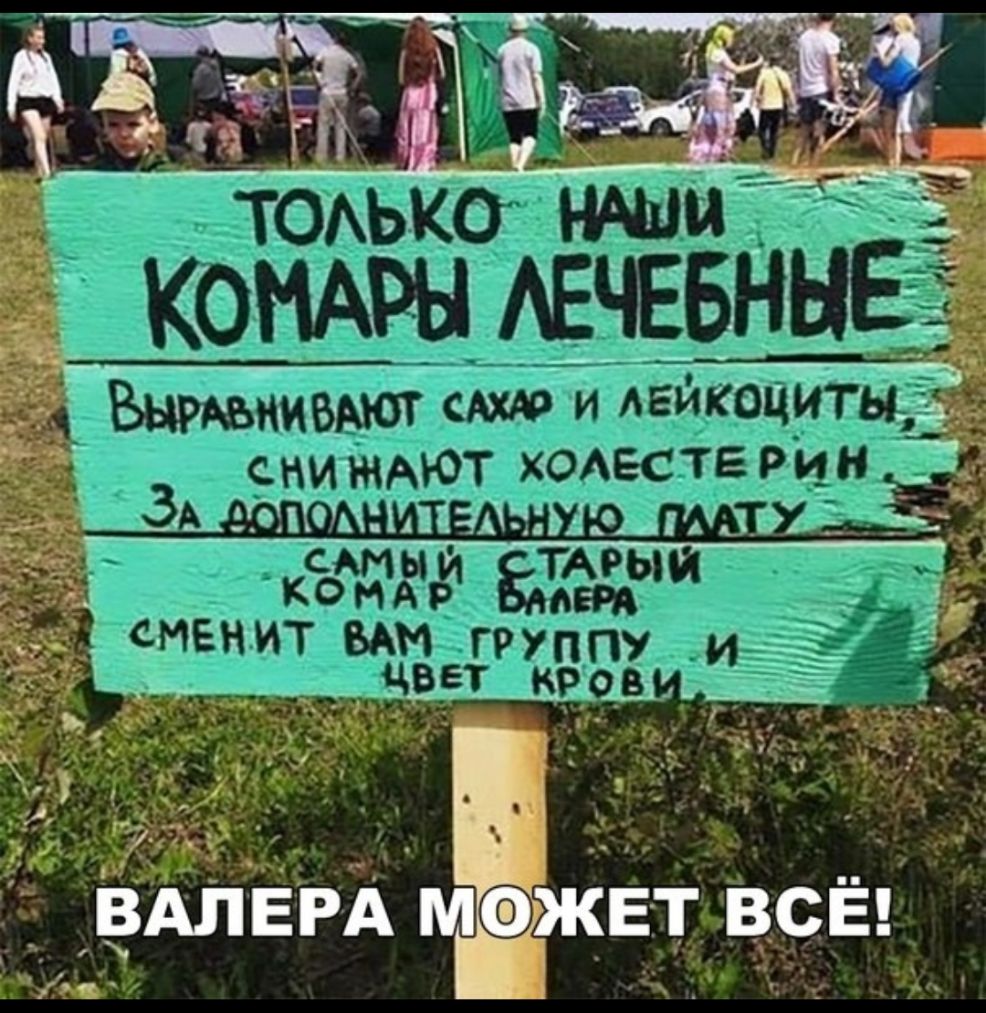 ш ёгзд
