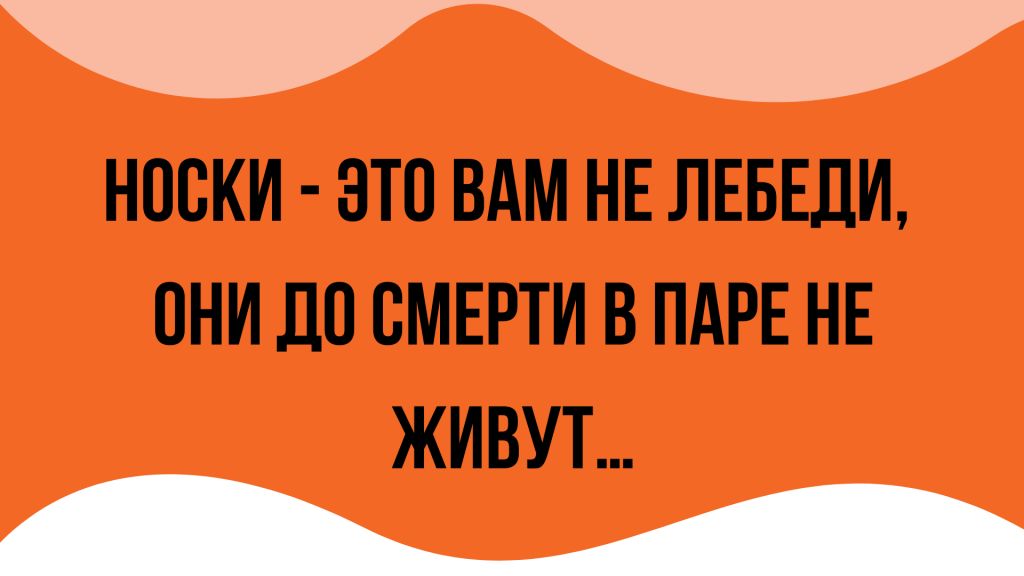 НОСКИ ЭТО ВАМ НЕ ЛЕБЕДИ ОНИ ДП СМЕРТИ В ПАРЕ НЕ ЖИВУТ