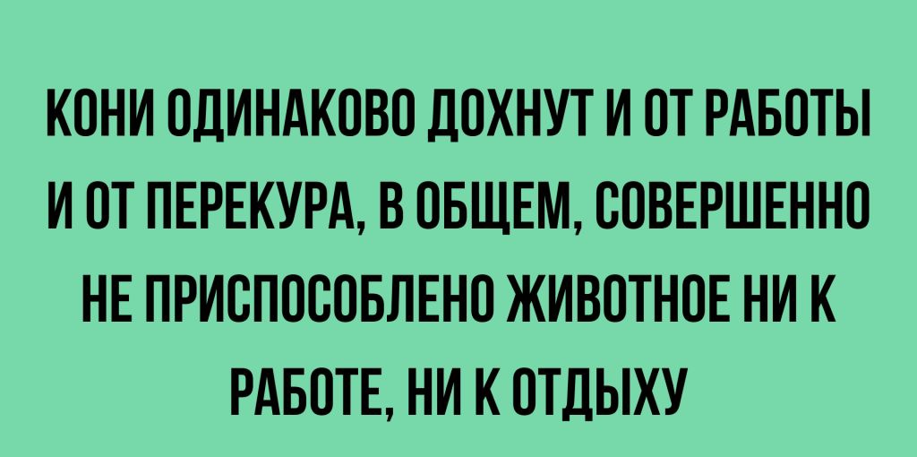 КОНИ ОДИНАКОВО дОХНУТ И ОТ РАБОТЫ И ОТ ПЕРЕКУРА В ОБЩЕМ СОВЕРШЕННО НЕ ПРИОПОООБЛЕНО ЖИВОТНОЕ НИ К РАБОТЕ НИ К ОТДЫХУ