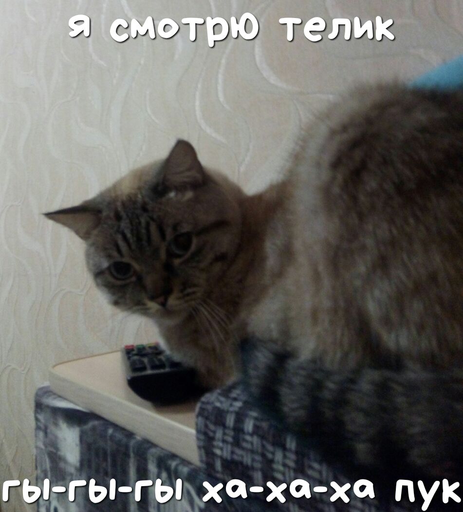 тугую т алых дгьпдгёшхахй Х Ук