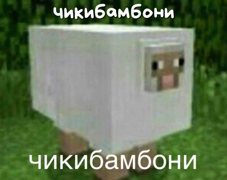 чикибсмбони