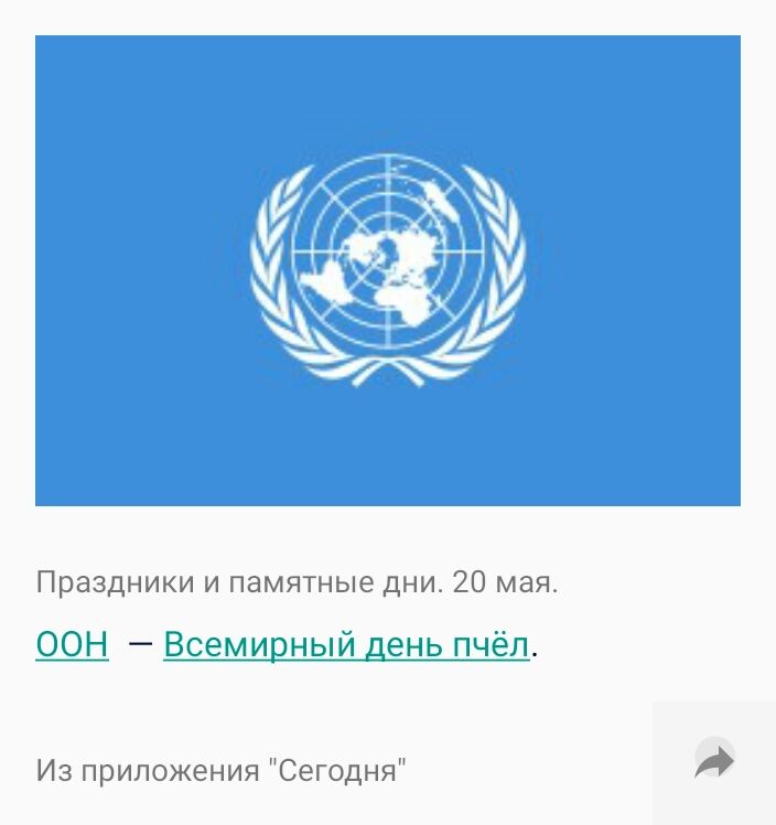 Праздники и памятные дни 20 мая ООН Всемирный день пчёл Из приложения Сегодня