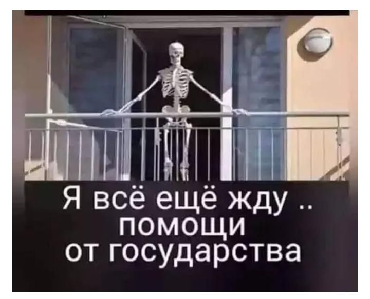 Я всё ещё жду __ помощи от ГОСУдарства