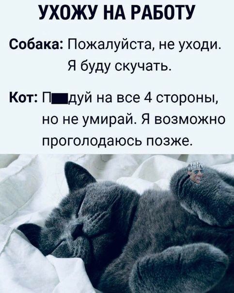 УХОЖУ НА РАБОТУ Собака Пожалуйста не уходи Я буду скучать Кот Пдуй на все 4 стороны но не умирай Я возможно проголодаюсь позже