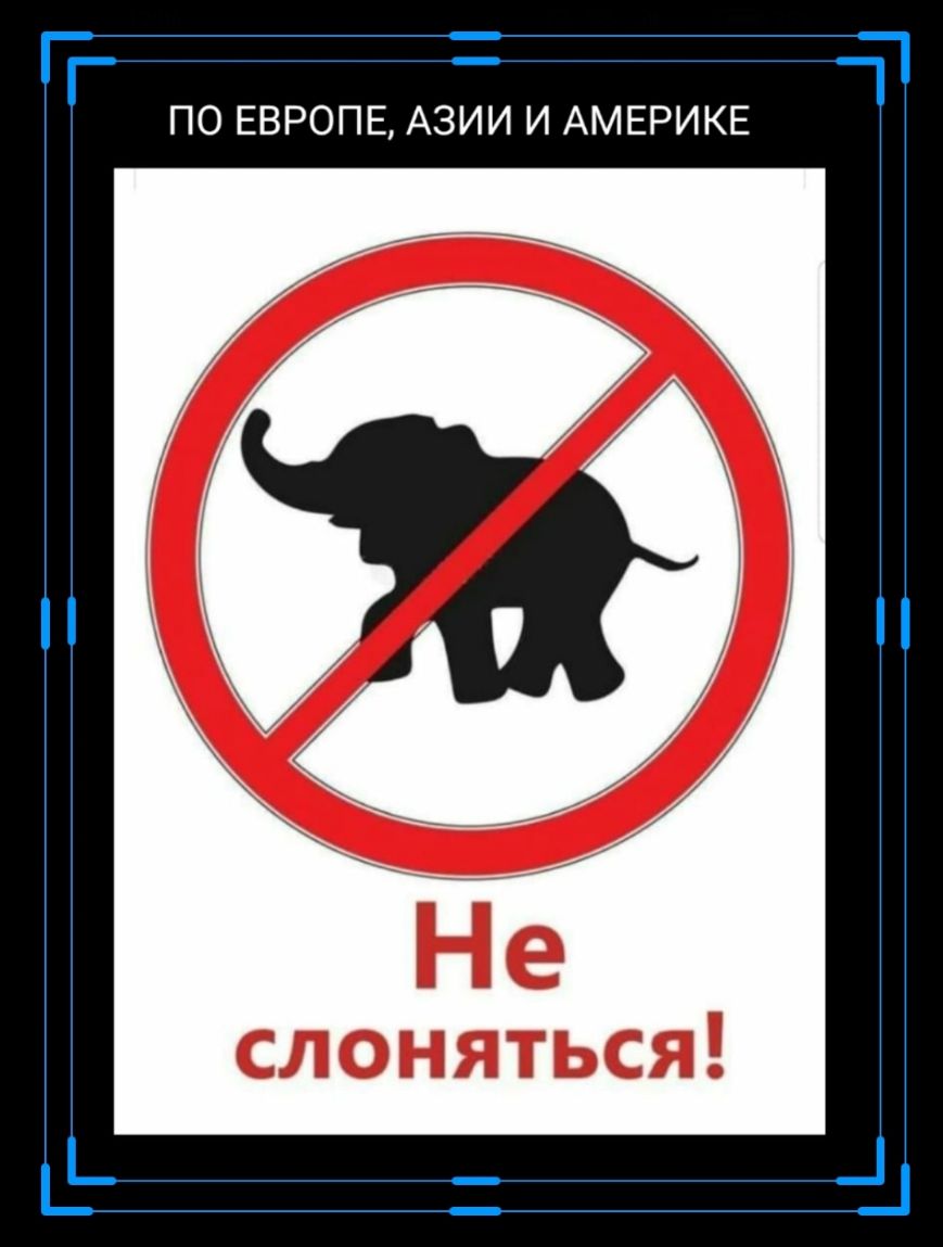 г ПО ЕВРОПЕ АЗИИ И АМЕРИКЕ _ Ней СЛОНяться