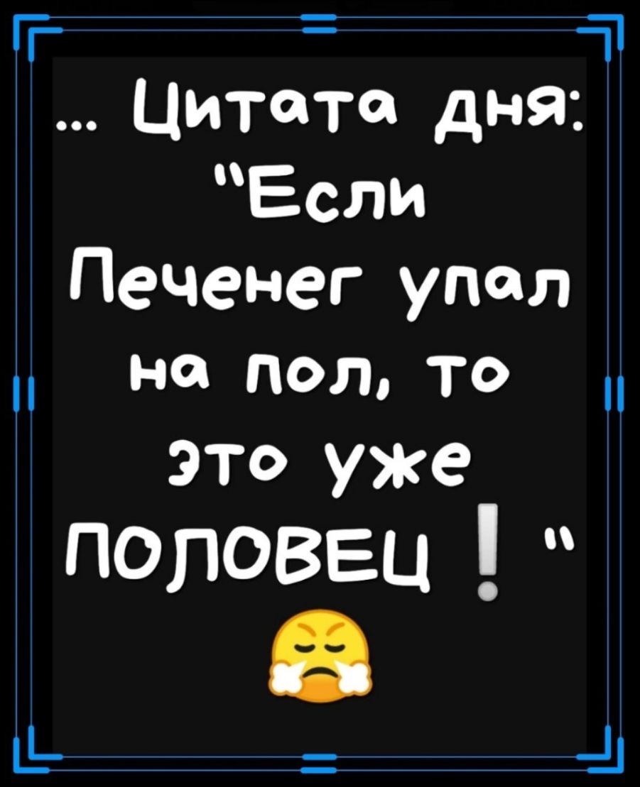 Т ч Цитата дна Если Печенег упал на ПОЛ ТО это уже поповвц