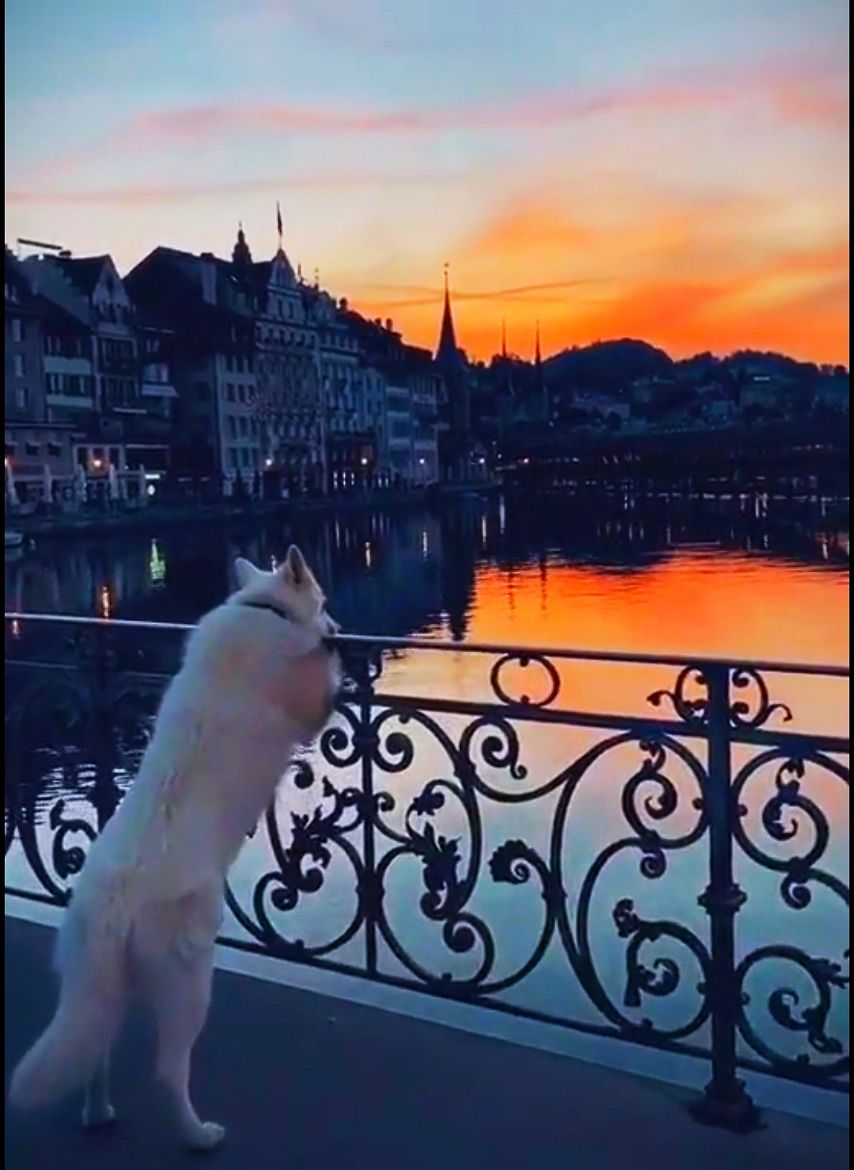 ___ щ