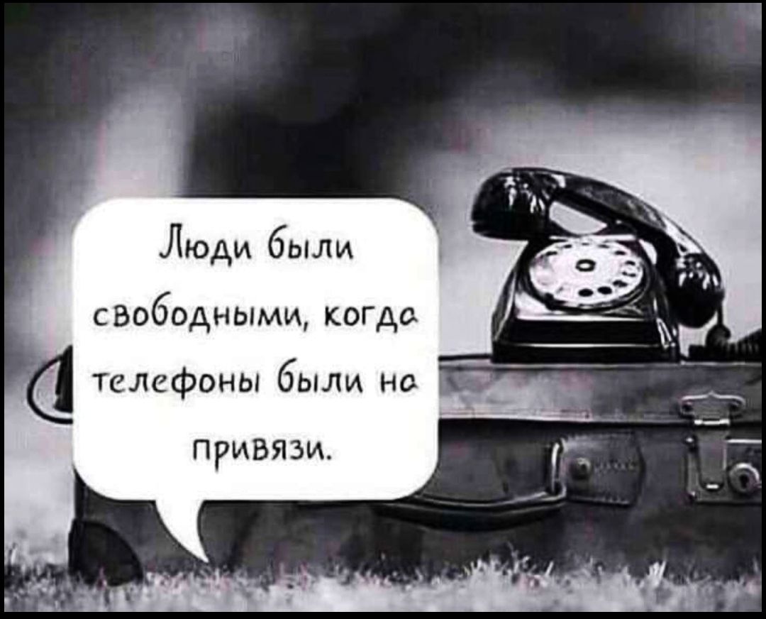 Статус на телефон. Когда телефон был привязан люди были свободными. Когда телефоны были на привязи люди свободными. Афоризмы про Телефонные звонки. Афоризмы про телефон.