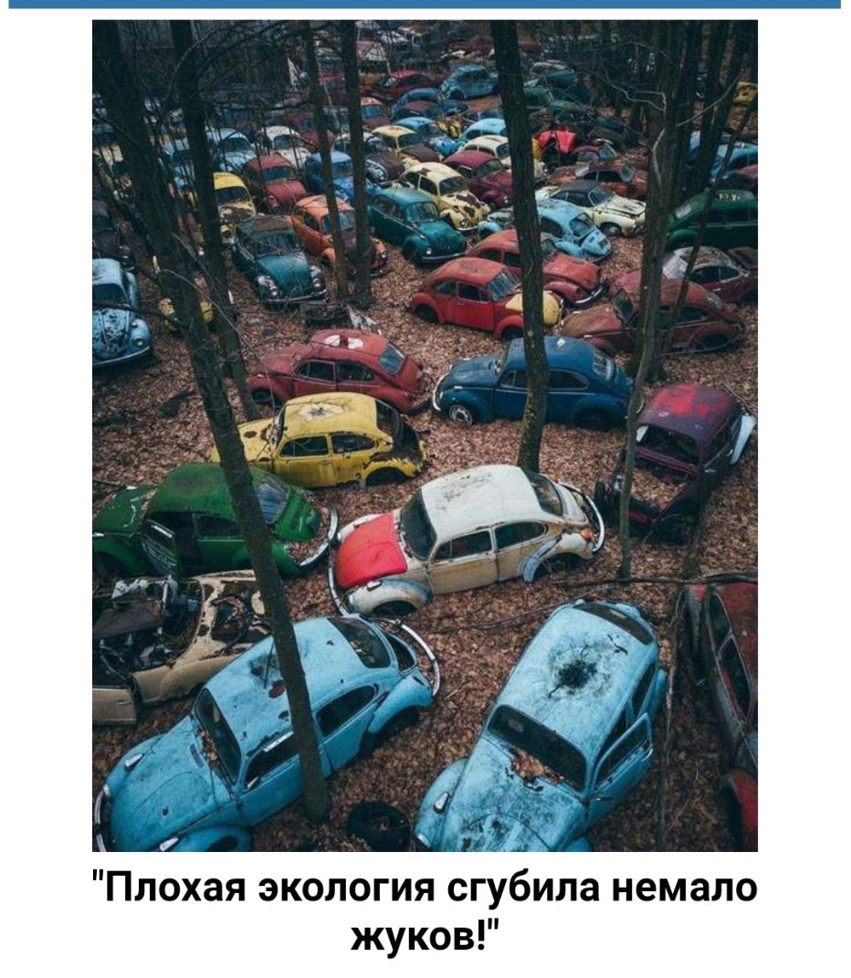 Плохая экология сгубила немало жуков