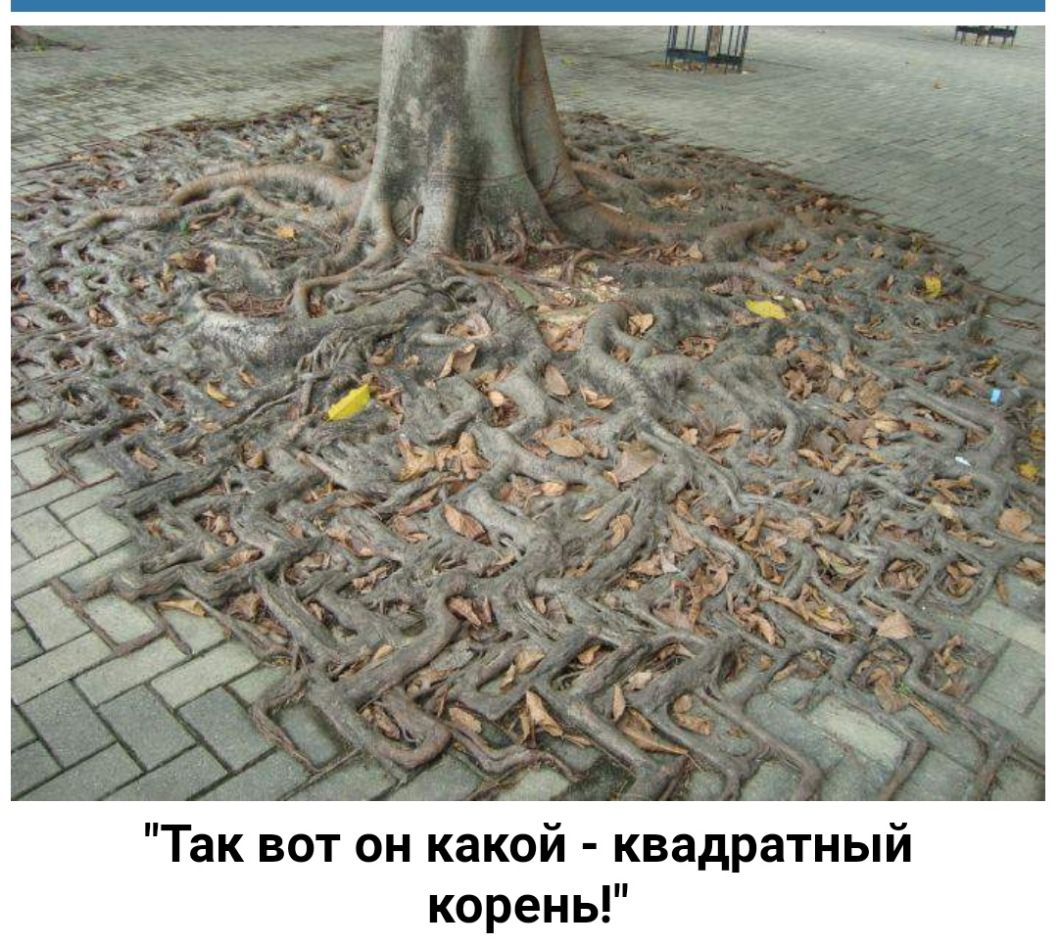 Так вот он какой квадратный корень