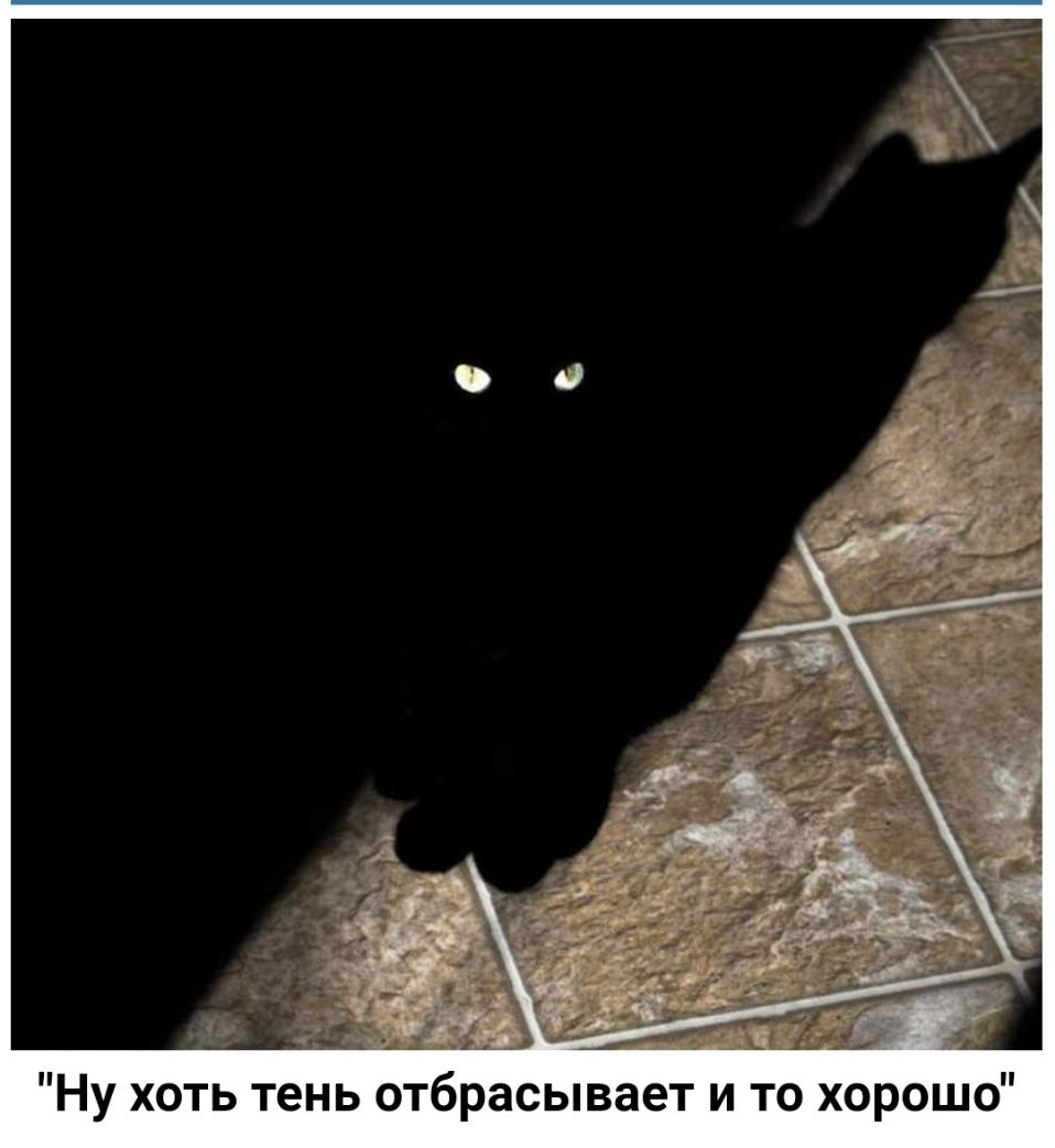 Ну хоть тень отбрасывает и то хорошо