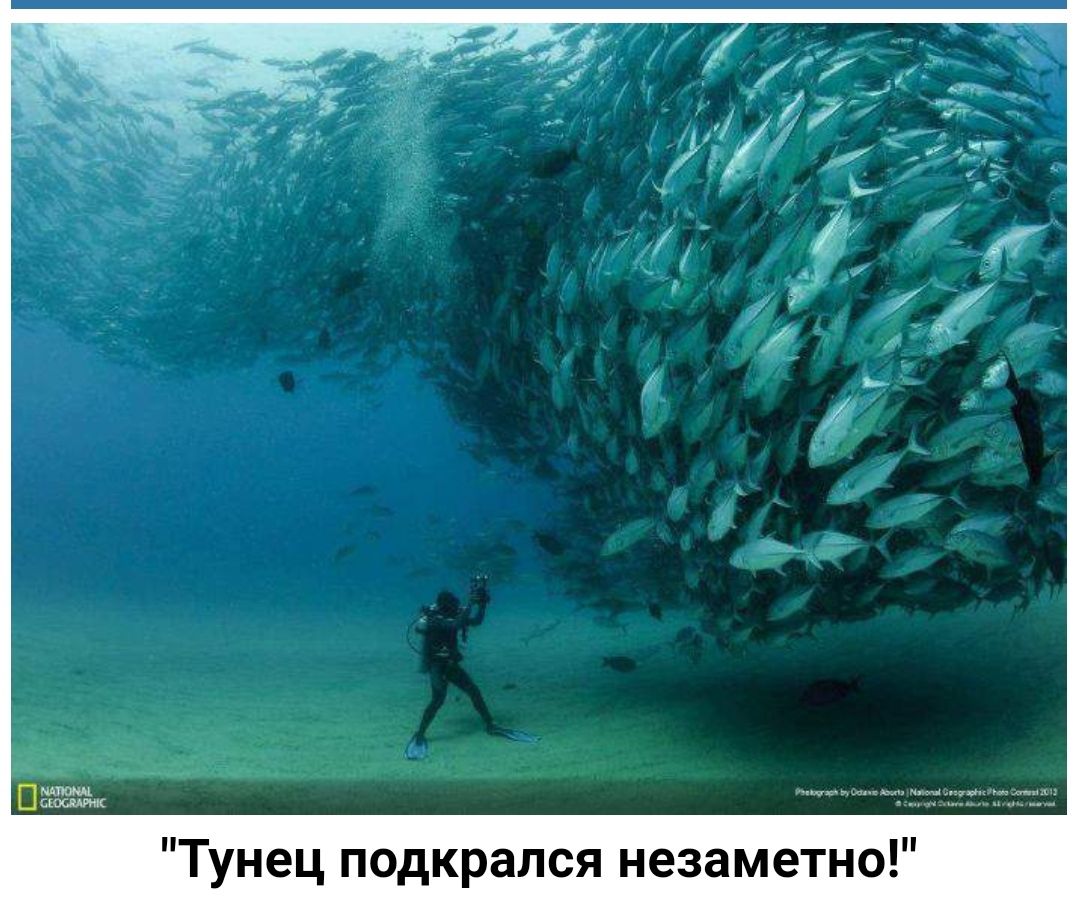 О Н Т е м а 3 6 Н Я с л а р м 0 П ц е и Т
