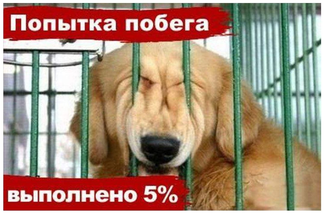 ___ щ_ Попытка побег выполнено 5