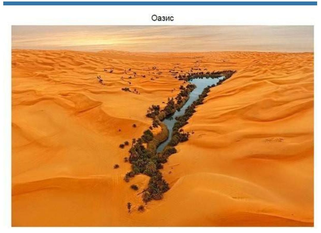 Оазис