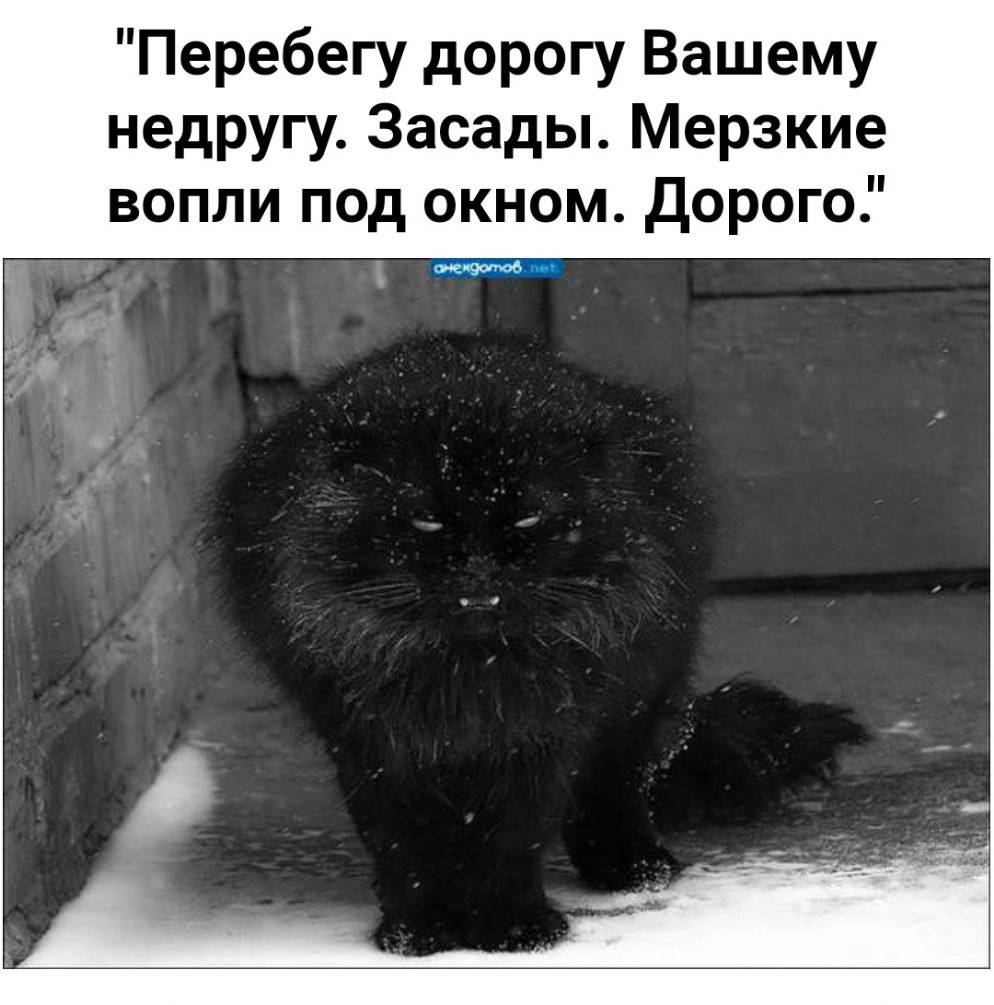 Перебегу дорогу Вашему недругу Засады Мерзкие вопли под окном Дорого