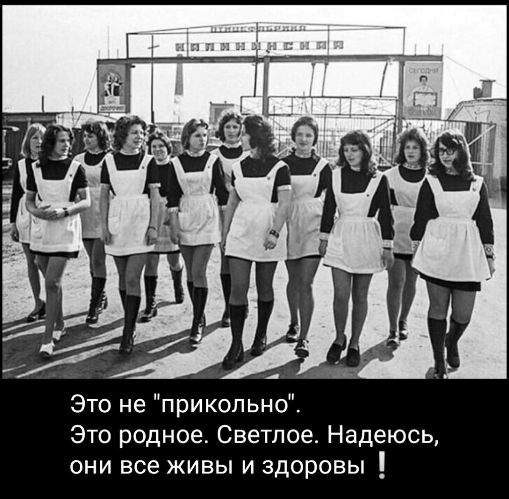 Это не прикольно Это родное Светлое Надеюсь они все живы и здоровы