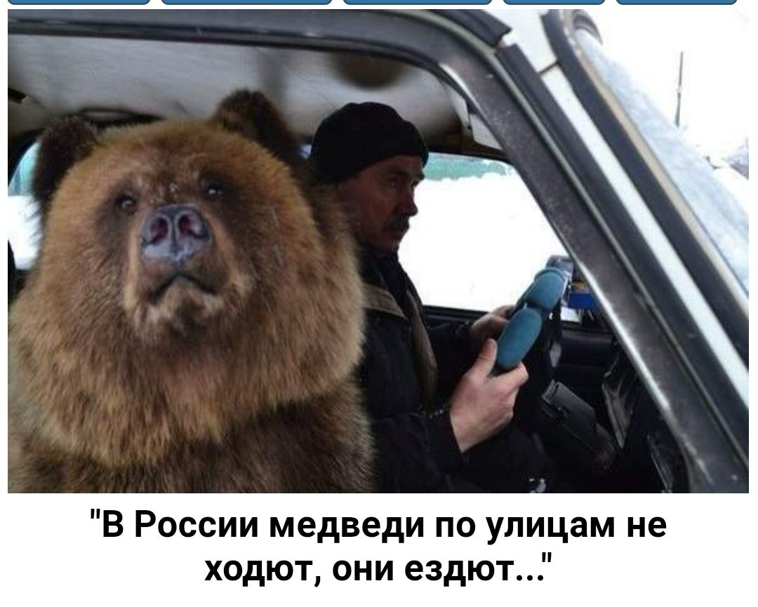 В России медведи по улицам не ходют они ездют