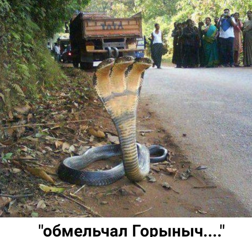 обм ЛЬЧЗЛ ЬНЬЧ